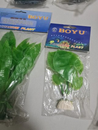 Plantas y rocas para acuario
