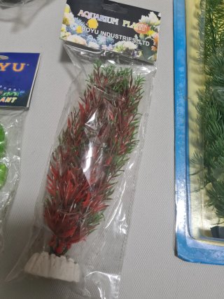 Plantas y rocas para acuario