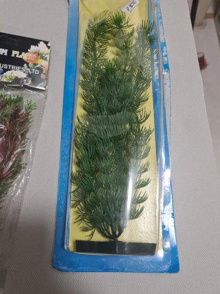 Plantas y rocas para acuario
