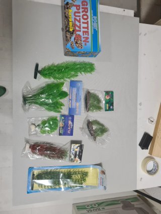 Plantas y rocas para acuario