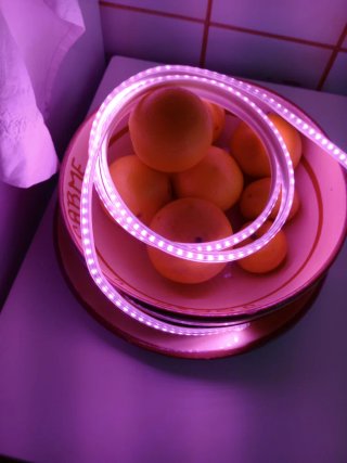Luces LED exterior, interior. Color rosa.