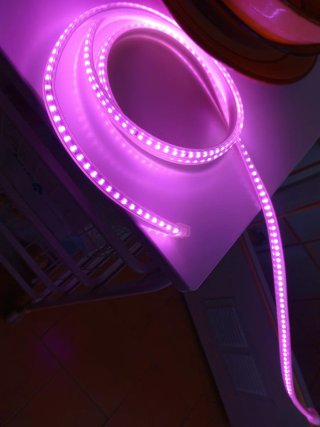 Luces LED exterior, interior. Color rosa.