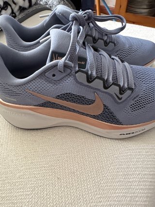 Zapatillas Nike Pegasus 41  Numero 38