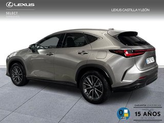 Lexus NX 450H + PREMIUM + 4WD