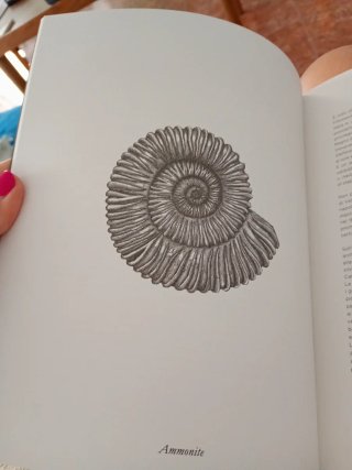 Libro Herbarium -116 Herbe in Cartizze