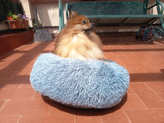 Cama para mascotas suave y cómoda