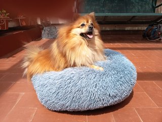 Cama para mascotas suave y cómoda