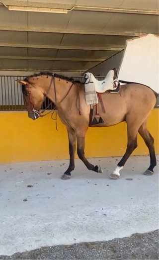 Montura Vaquera Guarnicionería Rafa