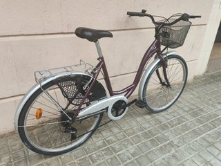 Bicicleta paseo