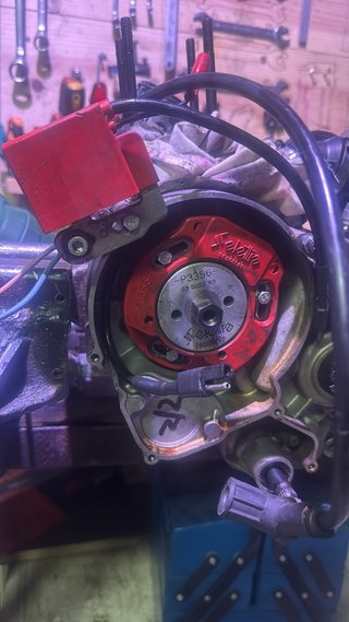 Rotor Selectra AM6