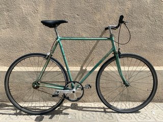 Bicicleta de ciudad verde XXL