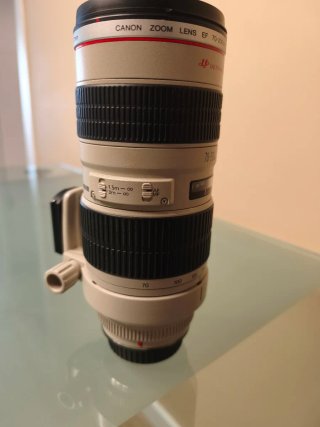 Canon EF 70-200mm f/2.8 L USM