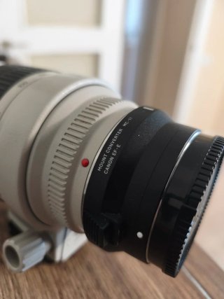 Canon EF 70-200mm f/2.8 L USM
