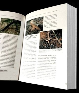 CAZA. EL TRAMPEO Y DEMAS ARTES DE CAZA TRADICIONAL