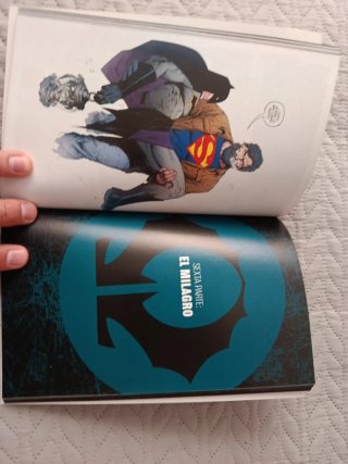 Batman. El último caballero de la Tierra.
