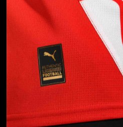 Camiseta Fútbol Girona Puma Talla M