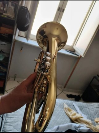 Flicorno Soprano Sib Bicolore Custodia