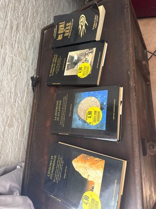 Lotto 4 Libri Newton Compton Editori