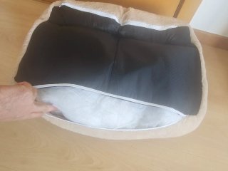 Cama para gato estilo sofá