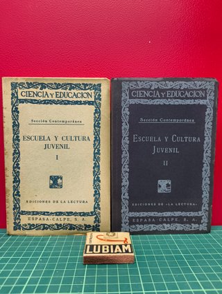 Escuela y cultura juvenil – Ciencia y Educación