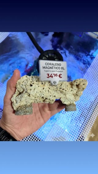 Coralero/esquejero Decoración Acuario Marino