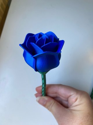 Rosa Eterna