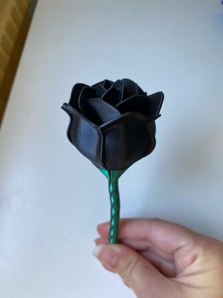 Rosa Eterna