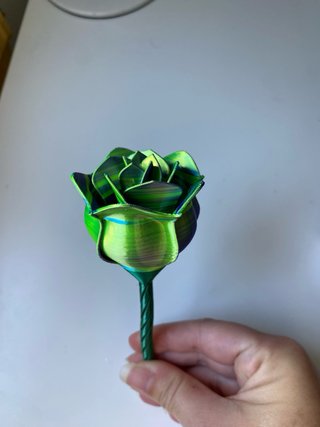 Rosa Eterna