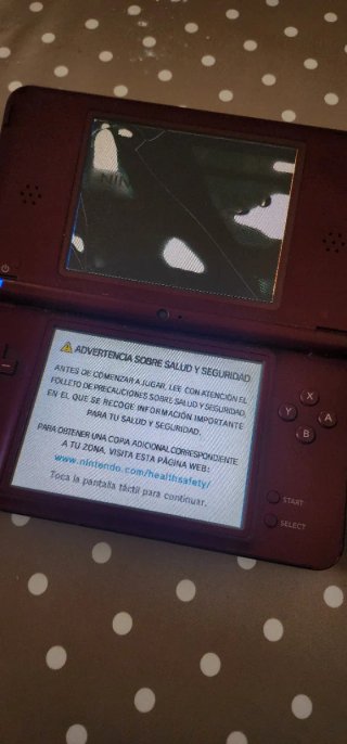 Nintendo DSi XL Marrón con funda