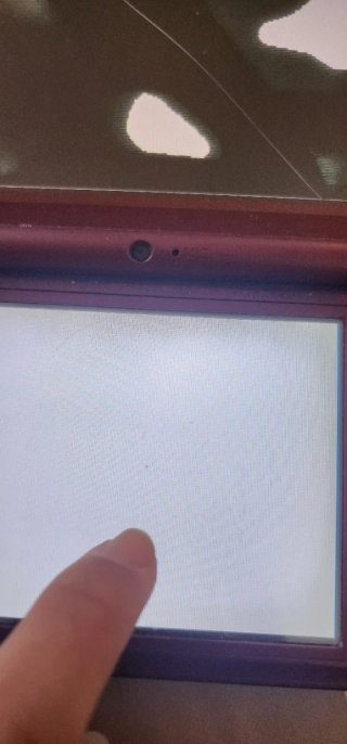 Nintendo DSi XL Marrón con funda