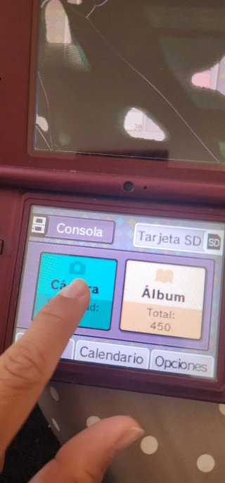 Nintendo DSi XL Marrón con funda