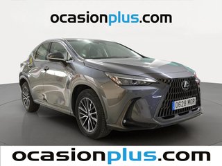 Lexus NX 350h Business City 4WD 178 kW (242 CV)