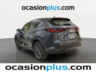 Lexus NX 350h Business City 4WD 178 kW (242 CV)