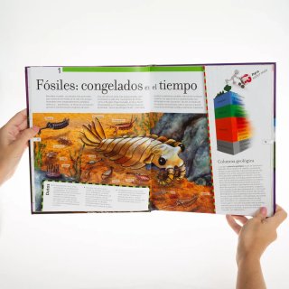 Libro Dinosaurios Increíbles - Safeliz
