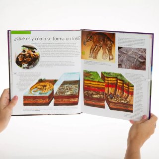 Libro Dinosaurios Increíbles - Safeliz
