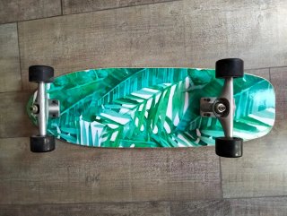 Skate surf WRISCG