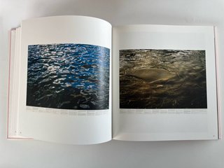 Roni Horn exhibition catalogue