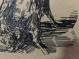 Dibujo R.Domingo