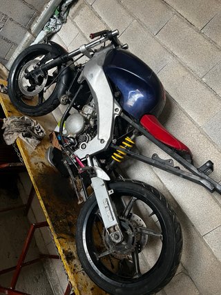 Aprilia RS 50 Culo Avispa