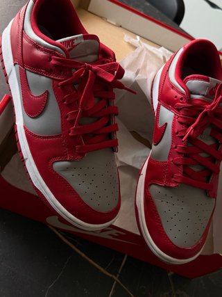Nike Dunk Low Grigio Rosso
