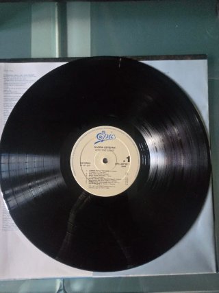 Vinilo Gloria Estefan - Into the Light
