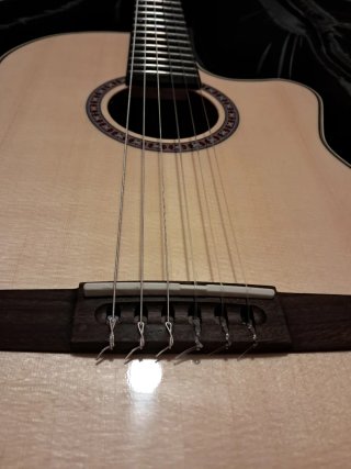 Guitarra Godin con funda y accesorios