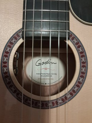 Guitarra Godin con funda y accesorios