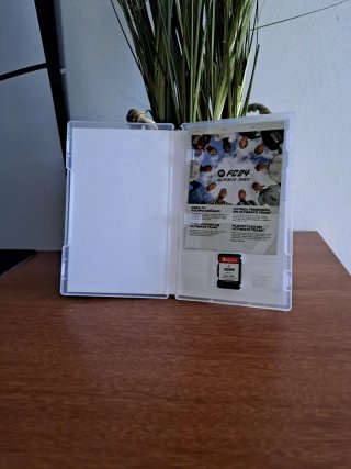 FC 24 Nintendo Switch