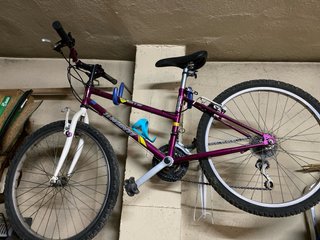 Bicicleta Morada Montaña