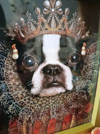 Cuadro Perrita Reina con Marco Dorado