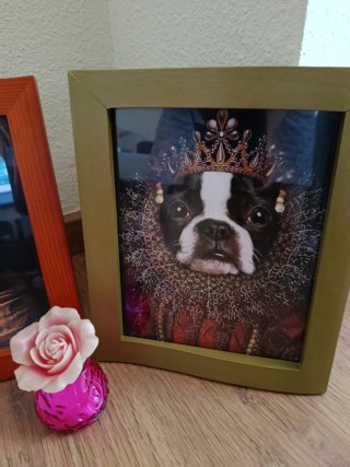 Cuadro Perrita Reina con Marco Dorado