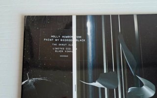 Vinilo Holly Humberstone - Paint My Bedroom Black