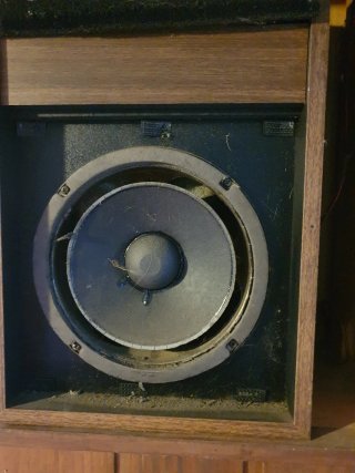 Altavoces Bose Antiguos (2 unidades)