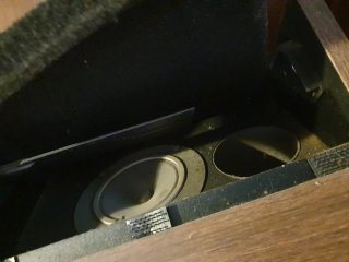 Altavoces Bose Antiguos (2 unidades)